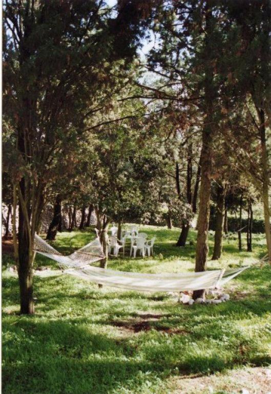 Masseria Murgia Albanese Noci Exterior foto