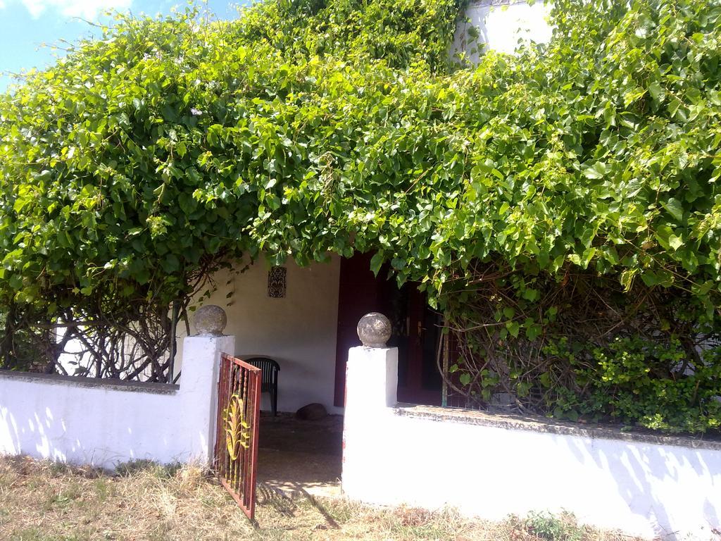 Masseria Murgia Albanese Noci Exterior foto