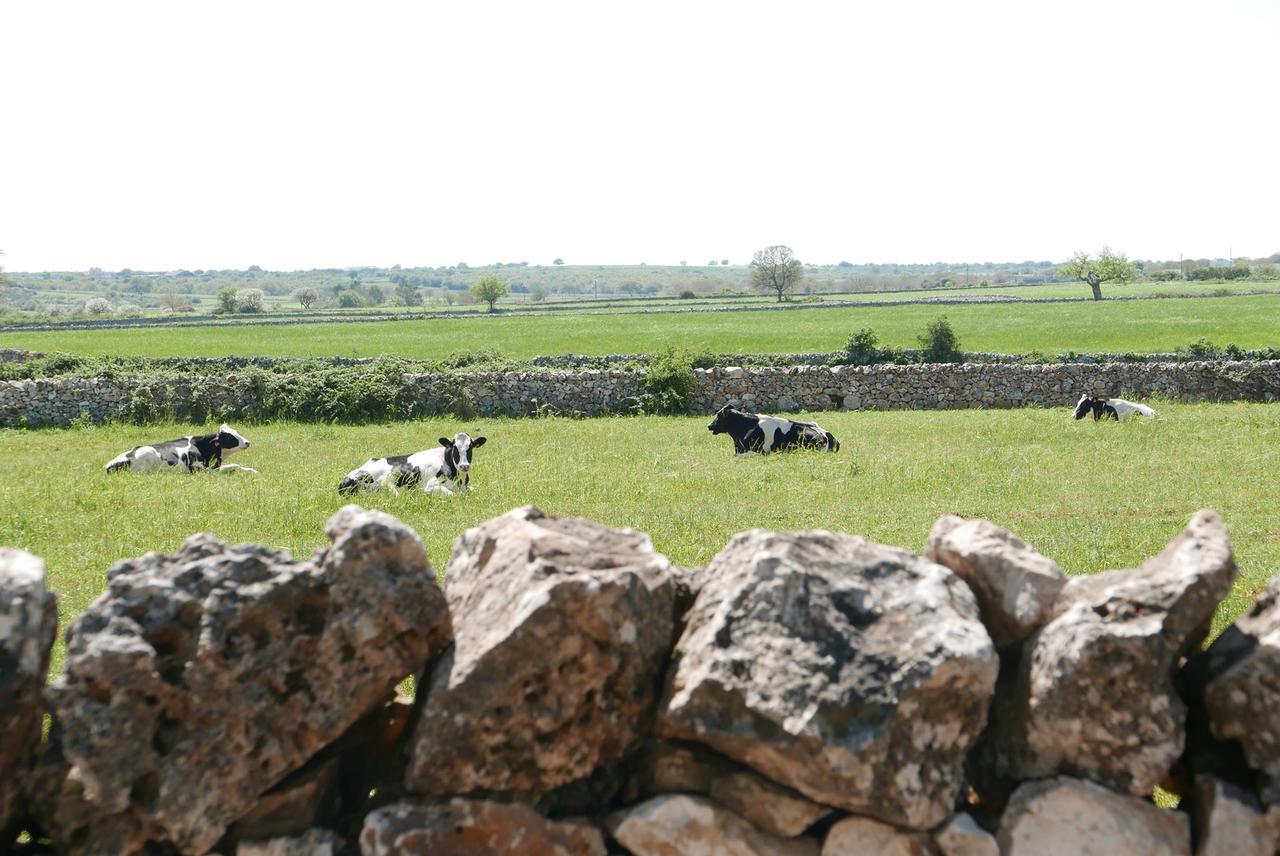 Masseria Murgia Albanese Noci Exterior foto